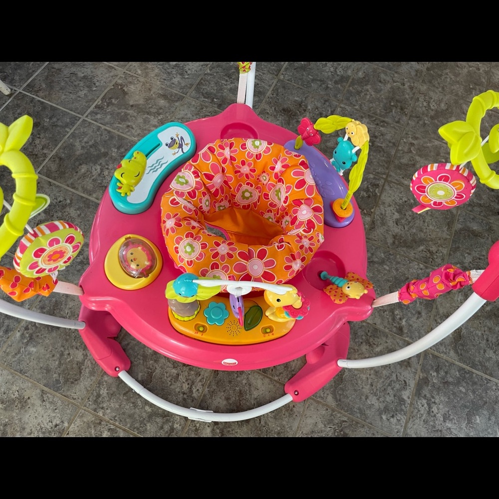 SOLD Fisher Price Jumperoo: Pink Petals